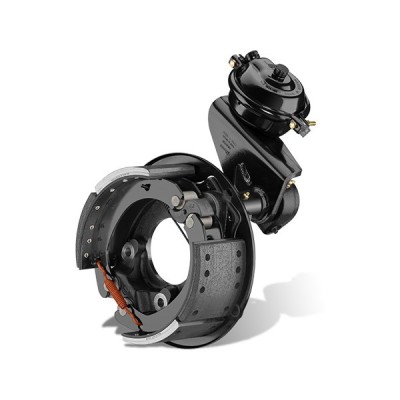 کوسن زرین بال